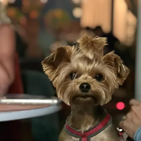 Apartament Flamingo Rezidencia